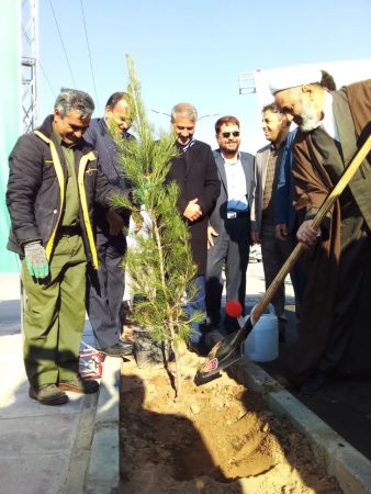 برگزاری آیین درختکاری در رفسنجان همزمان با آغاز هفته درختکاری