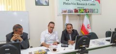 بررسی عارضه لکه پوست استخوانی پسته و ارائه راهکارهای مبارزه با آن