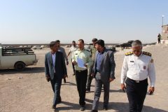 تعیین‌تکلیف فوری خودروهای توقیفی؛ دادستان رفسنجان دستور پلمب پارکینگ متخلف را صادر کرد
